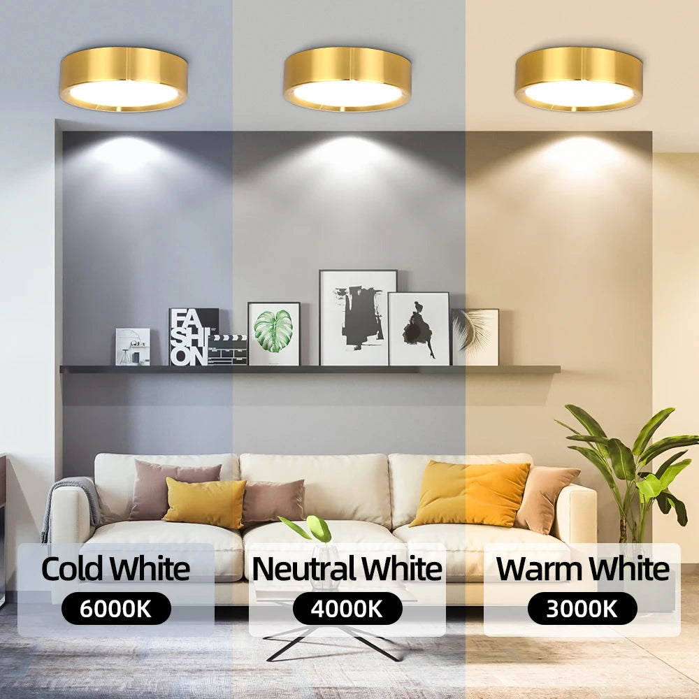 LED Wall Shelf - Display in Style, Glow with Elegance